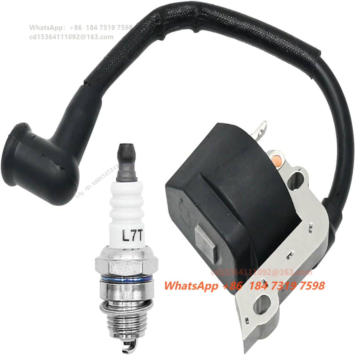 ชุดคอยล์จุดระเบิดแรงดันสูงสำหร - Spark Plug บทวิจารณ์และราคา